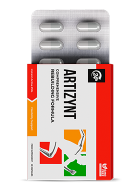 ArtiZynt